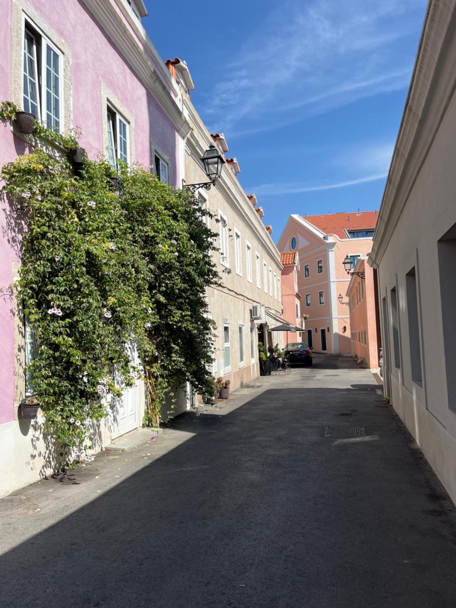 Casa Cor De Rosa Apartment Lisbon Bagian luar foto