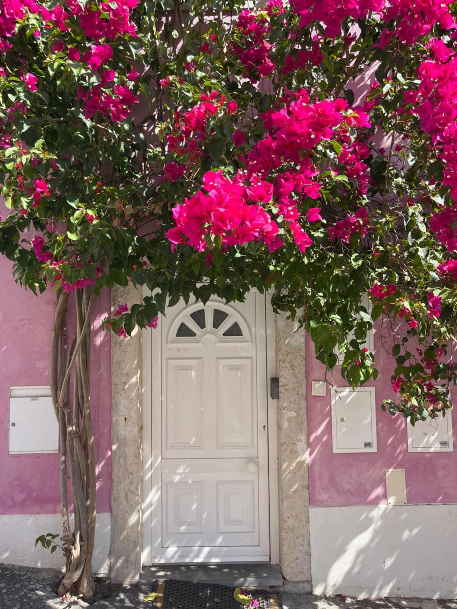 Casa Cor De Rosa Apartment Lisbon Bagian luar foto