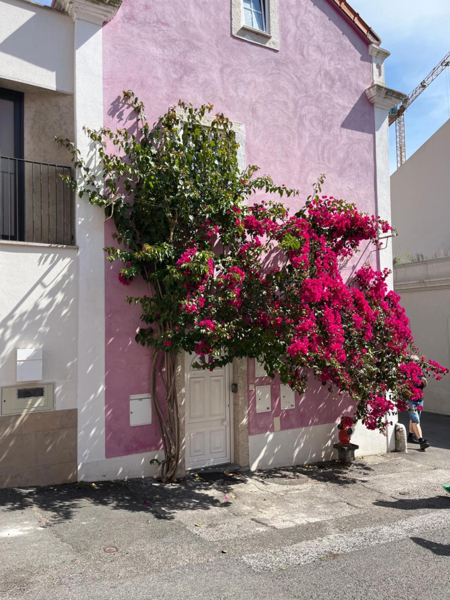 Casa Cor De Rosa Apartment Lisbon Bagian luar foto
